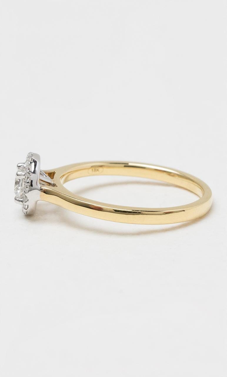 2024 © Hogans Family Jewellers 18K YWG Round Brilliant Diamond Halo Ring