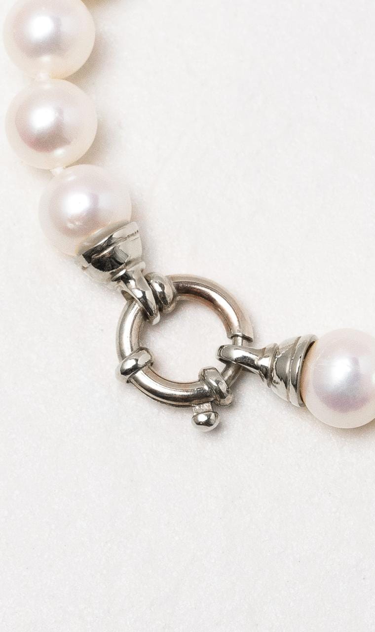 2024 © Hogans Family Jewellers 9K WG Freshwater Pearl Necklace with Euro Bolt Clasp