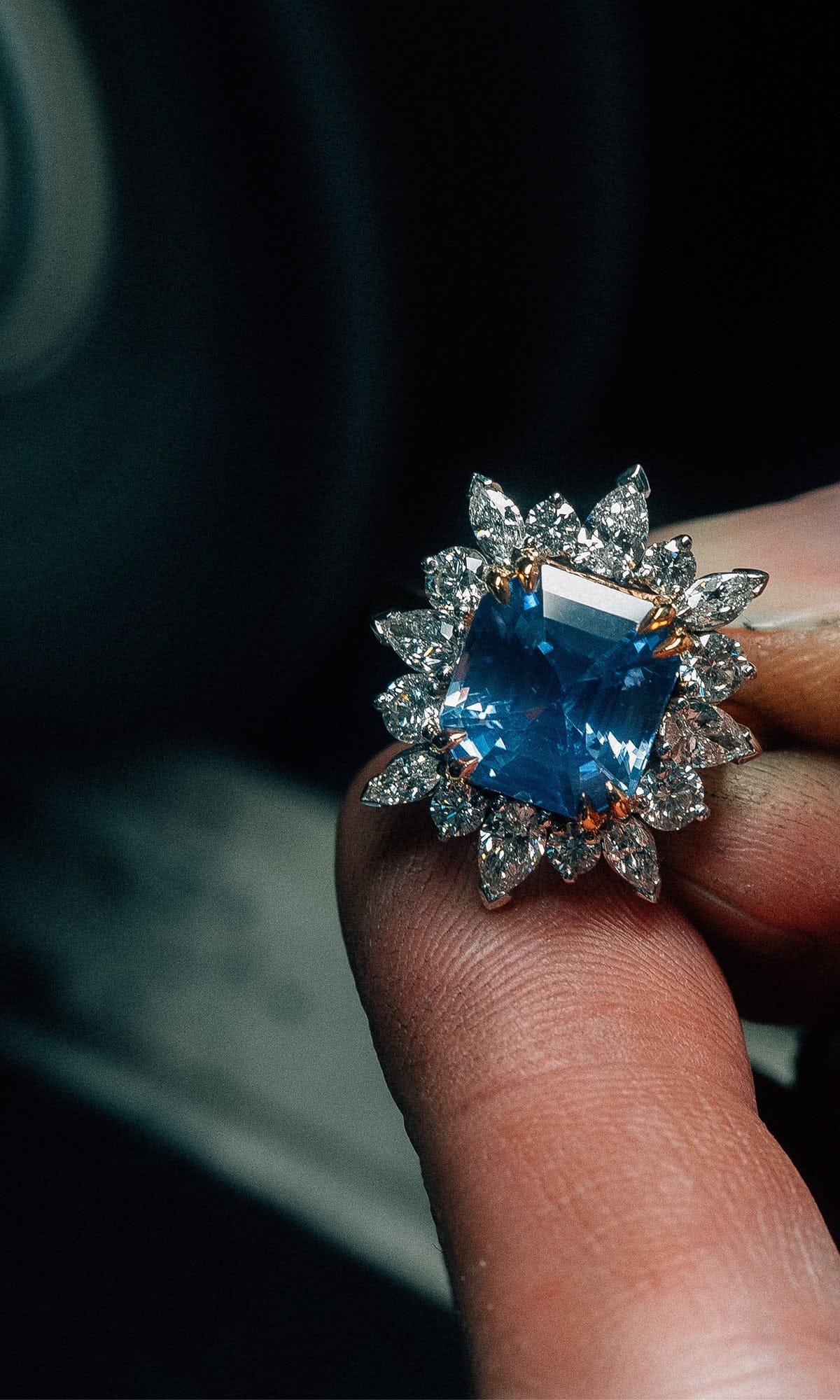 Hogans Family Jewellers 18K RWG Ceylon Sapphire & Diamond Cluster Ring