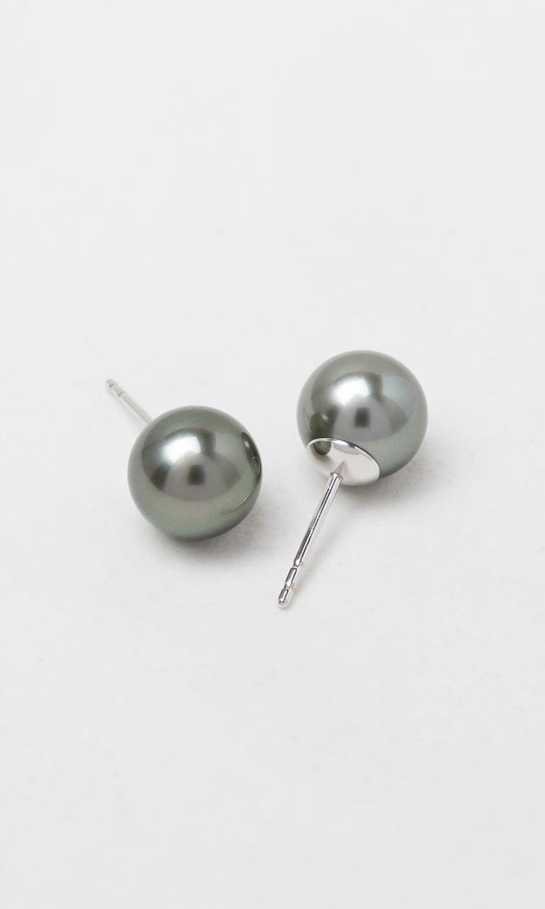 Hogans Family Jewellers 18K WG 8mm Tahitian Pearl Stud Earrings