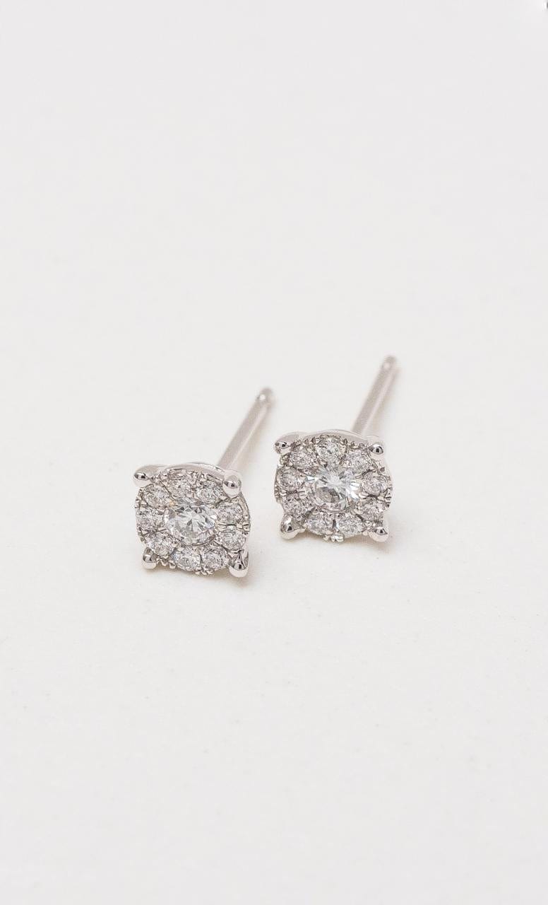 Hogans Family Jewellers 18K WG Diamond Cluster Stud Earrings