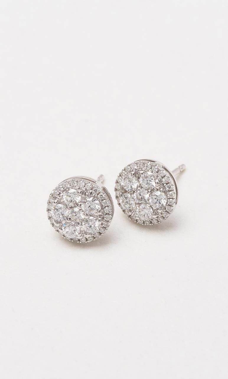 Hogans Family Jewellers 18K WG Diamond Cluster Stud Earrings