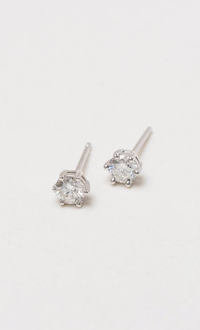 Hogans Family Jewellers 18K WG Diamond Stud Earrings