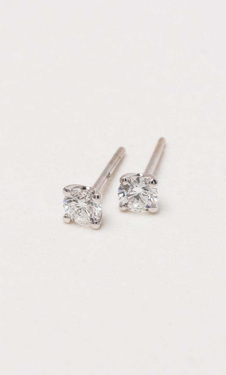 Hogans Family Jewellers 18K WG Diamond Stud Earrings