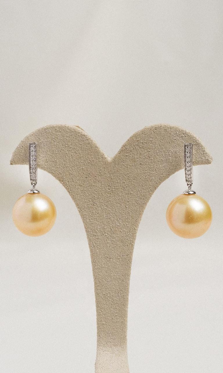 Hogans Family Jewellers 18K WG Golden South Sea Pearl Drop Stud Earrings