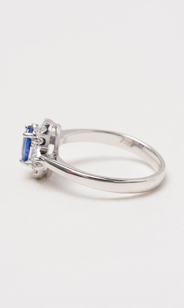 Hogans Family Jewellers 18K WG Oval Ceylon Sapphire Dress Ring