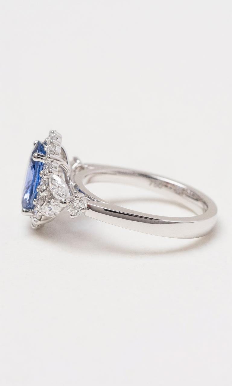 Hogans Family Jewellers 18K WG Oval Ceylon Sapphire Ring