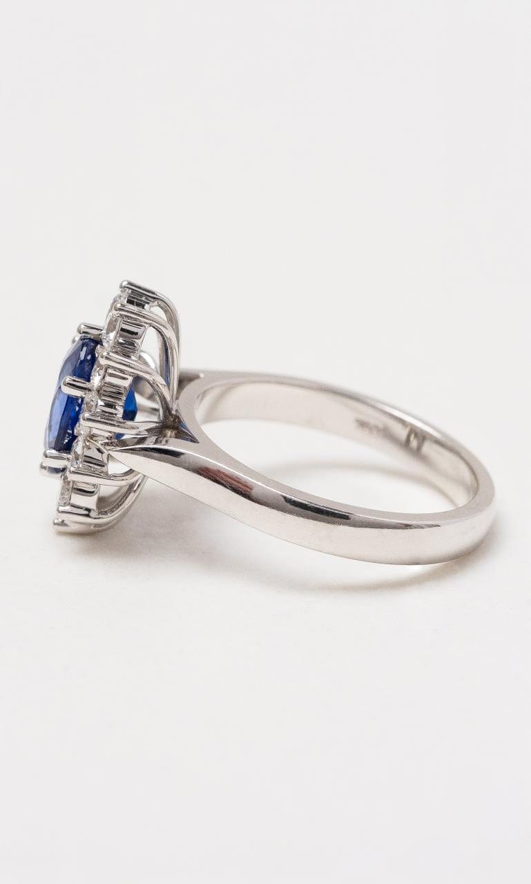 Hogans Family Jewellers 18K WG Oval Cut Ceylon Sapphire Claw Set Halo Style Ring