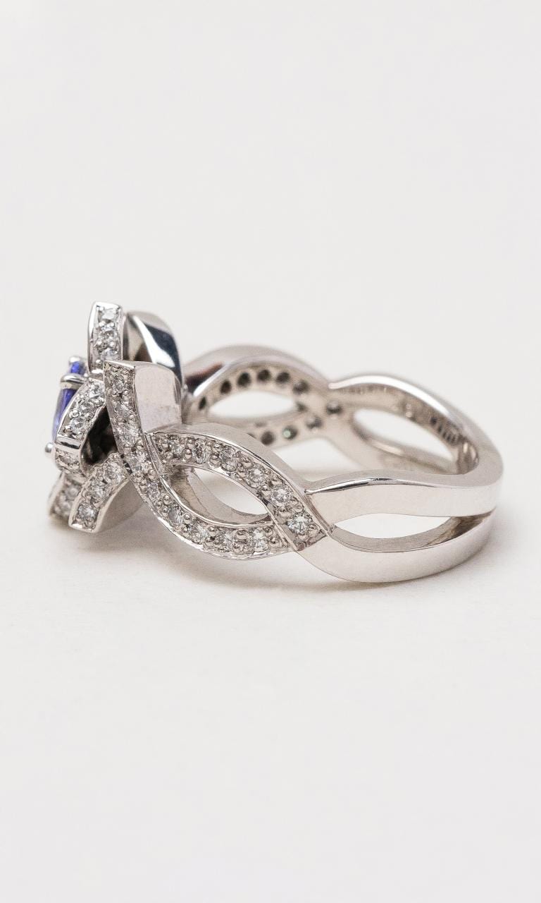 Hogans Family Jewellers 18K WG Round Tanzanite & Diamond Dress Ring