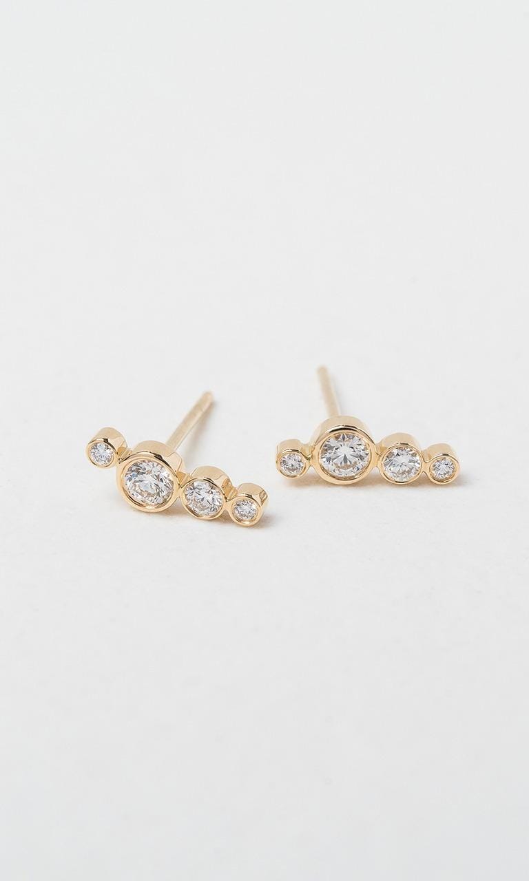 Hogans Family Jewellers 18K YG 0.30ct TDW Round Brilliant Cut Diamond Stud Earrings