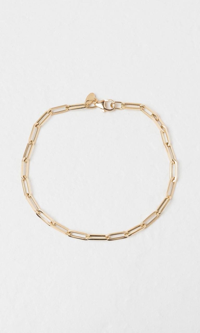 Hogans Family Jewellers 18K YG 18cm Paperclip Link Bracelet