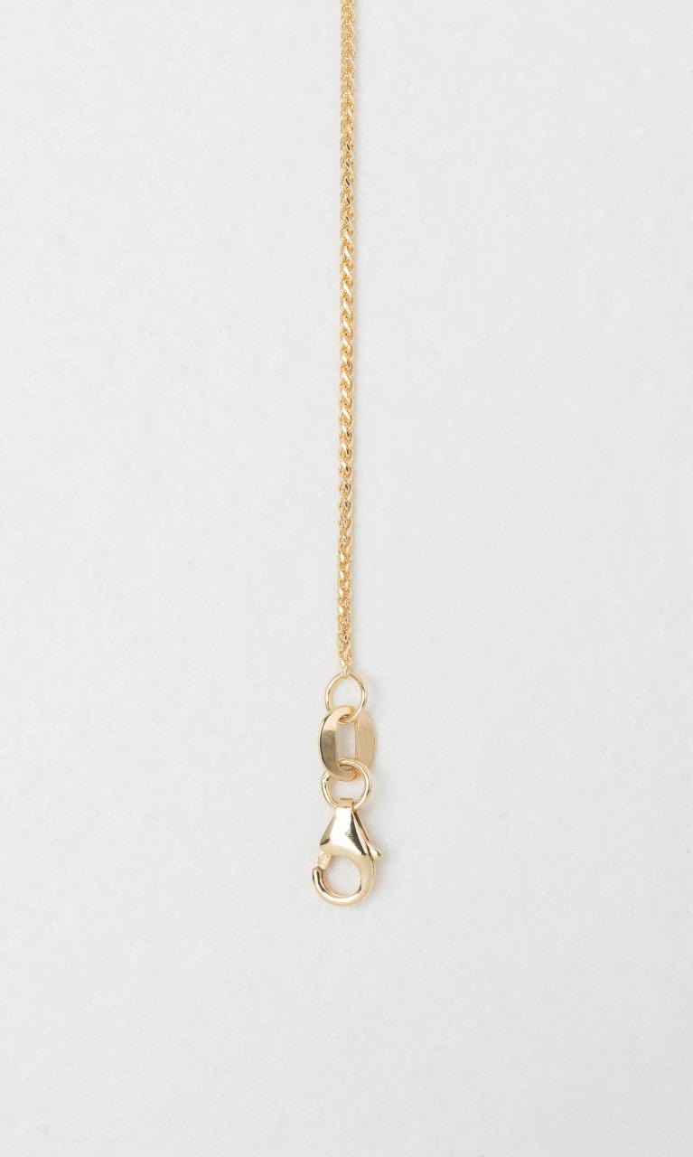 Hogans Family Jewellers 18K YG 55cm Foxtail (1mm Thickness)