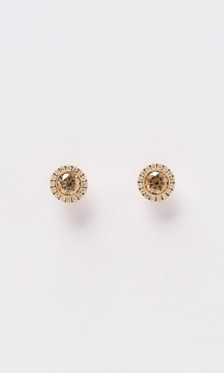 Hogans Family Jewellers 18K YG Champagne Diamond Stud Earrings