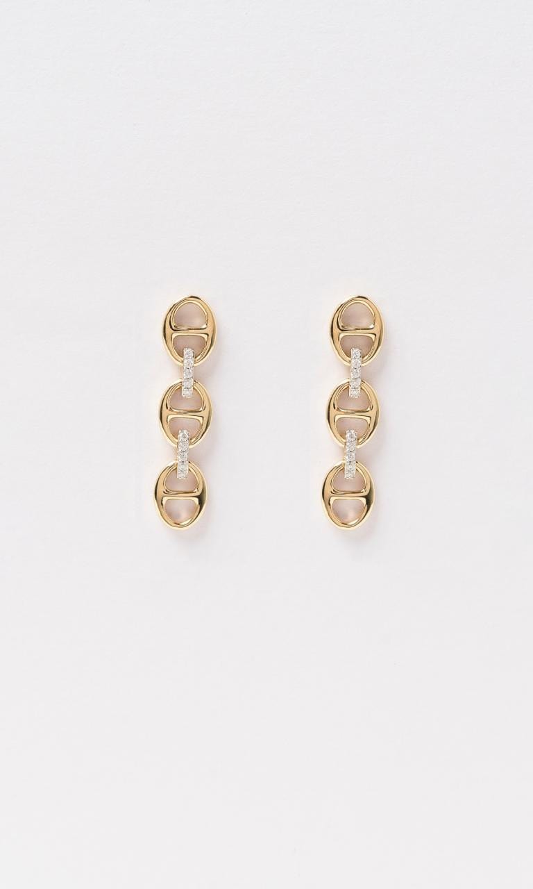 Hogans Family Jewellers 18K YWG 0.10ct TDW Round Brilliant Cut Diamond Drop Stud Earrings