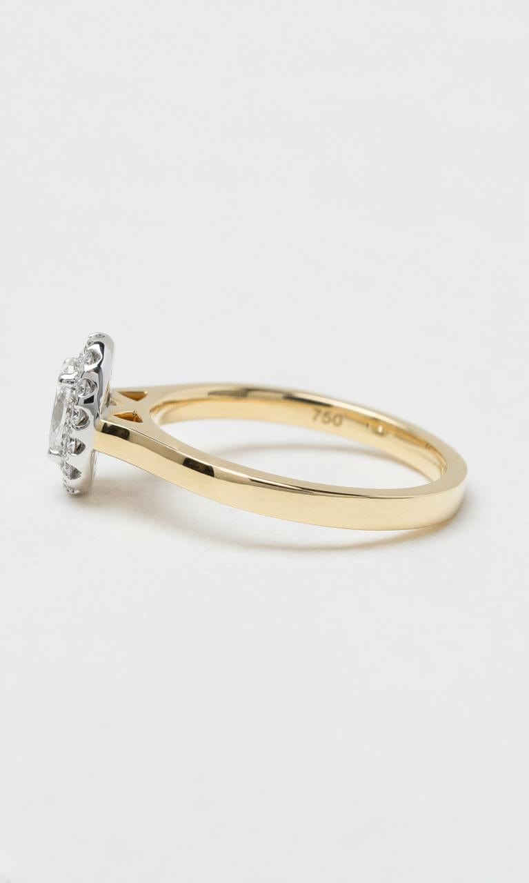 Hogans Family Jewellers 18K YWG 0.66ct TDW Oval Cut Diamond Halo Ring