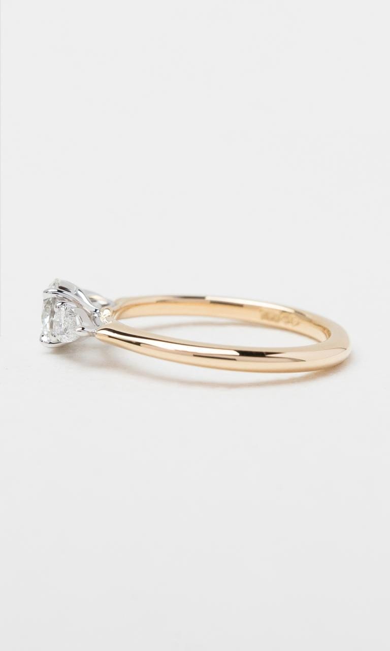 Hogans Family Jewellers 18K YWG 0.88ct TDW Round Brilliant Diamond Trilogy Ring