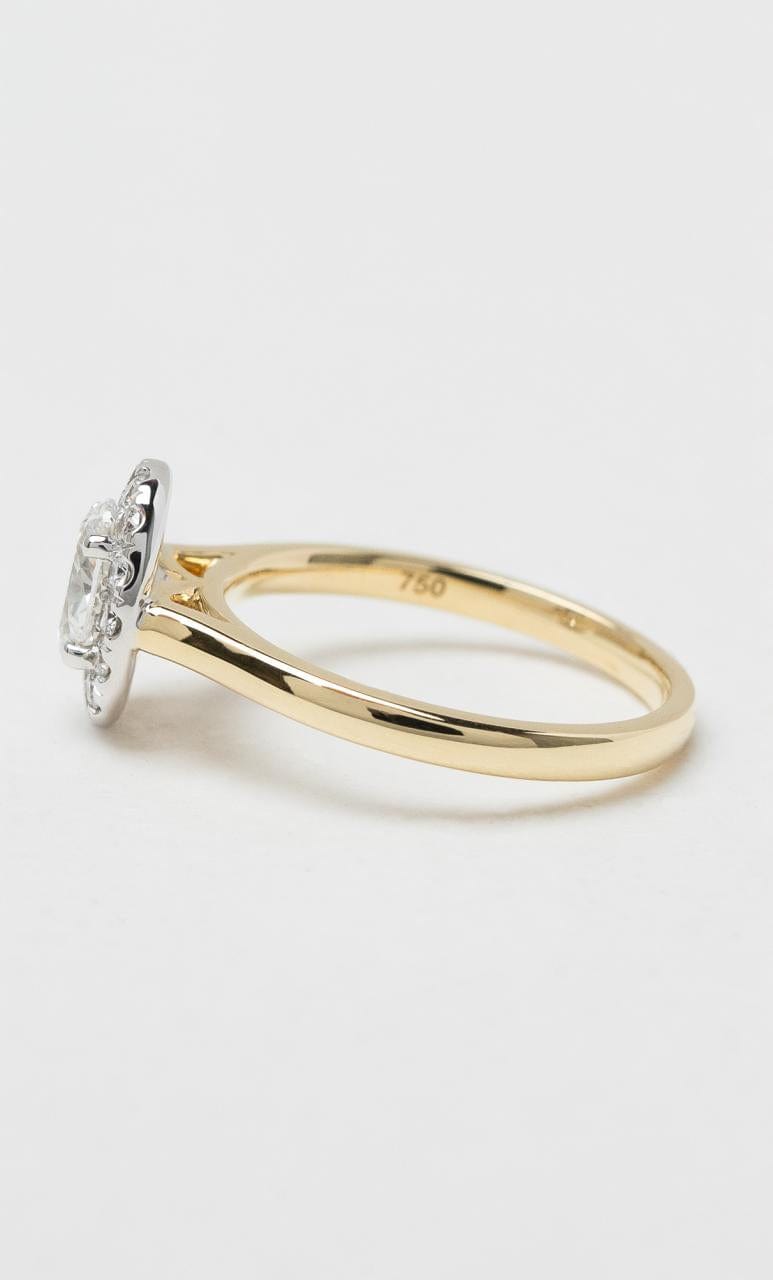 Hogans Family Jewellers 18K YWG 0.93ct TDW Oval Cut Diamond Halo Ring