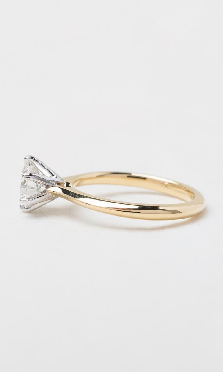 Hogans Family Jewellers 18K YWG 1.00ct Round Brilliant Solitaire Diamond Ring