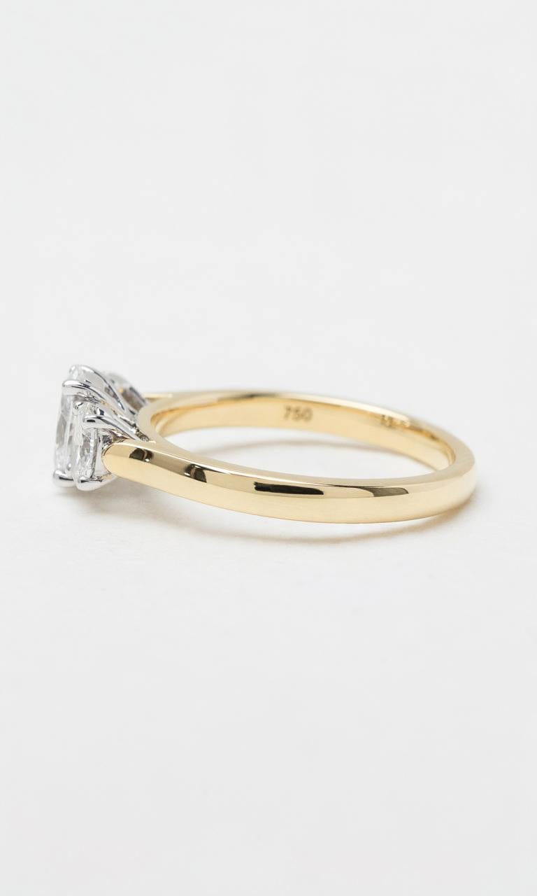 Hogans Family Jewellers 18K YWG 1.00ct TDW Oval Cut Diamond Trilogy Ring