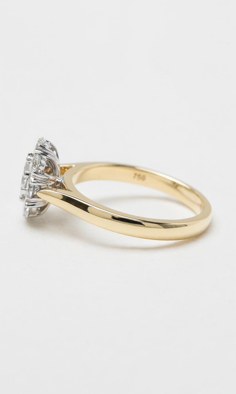 Hogans Family Jewellers 18K YWG 1.03ct Oval Cut Diamond Halo Style Ring