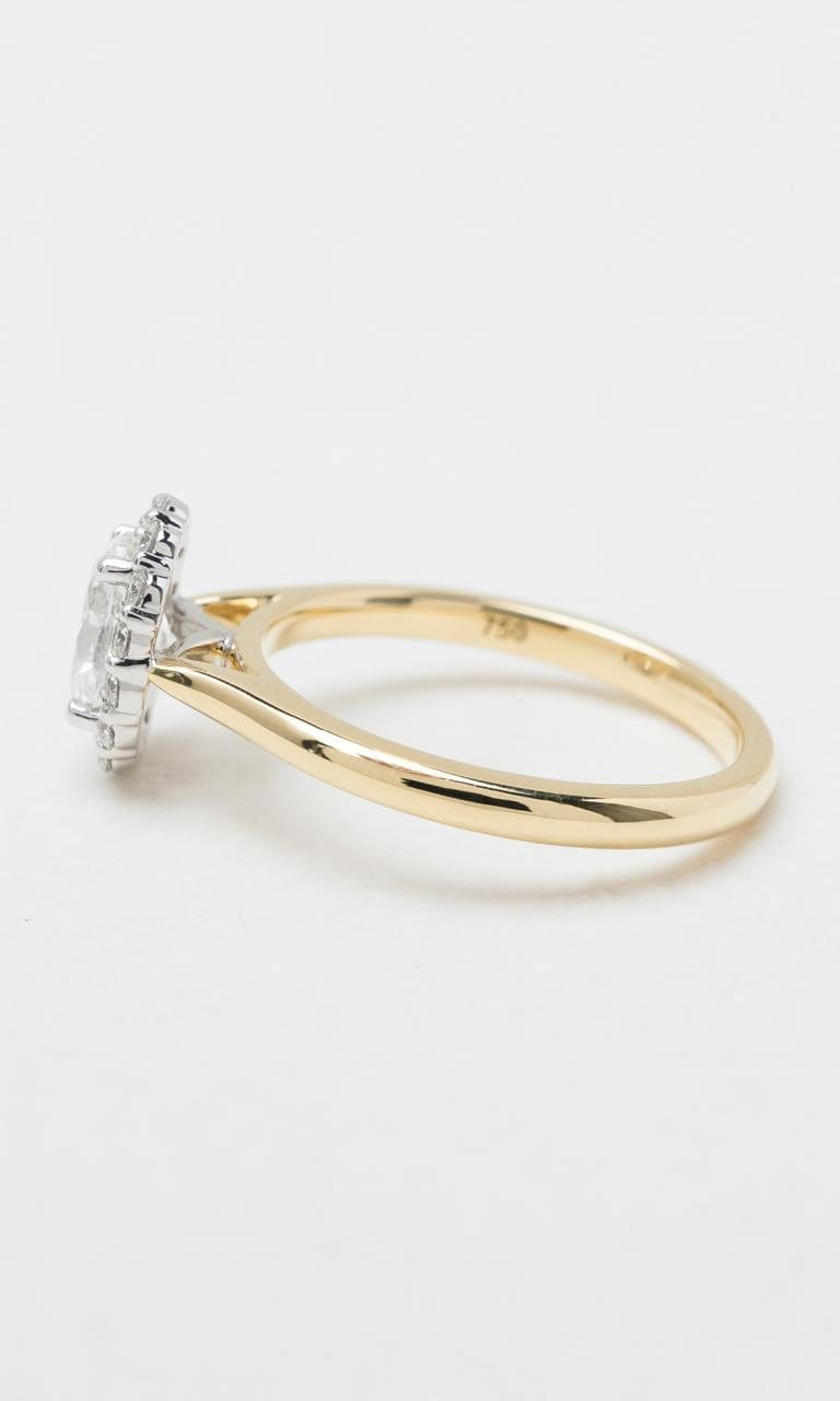 Hogans Family Jewellers 18K YWG 1.05ct TDW Oval Cut Diamond Halo Ring