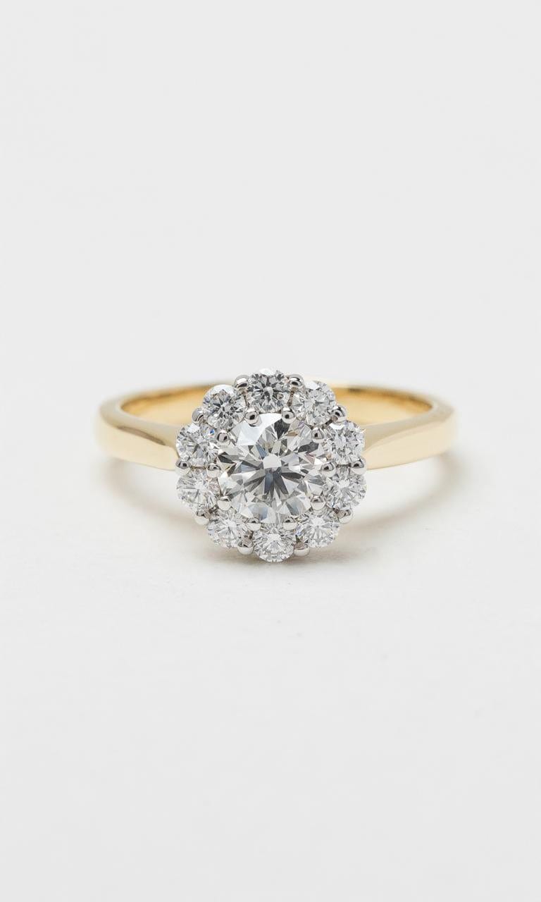 Hogans Family Jewellers 18K YWG 1.15ct TDW Round Brilliant Diamond Halo Ring