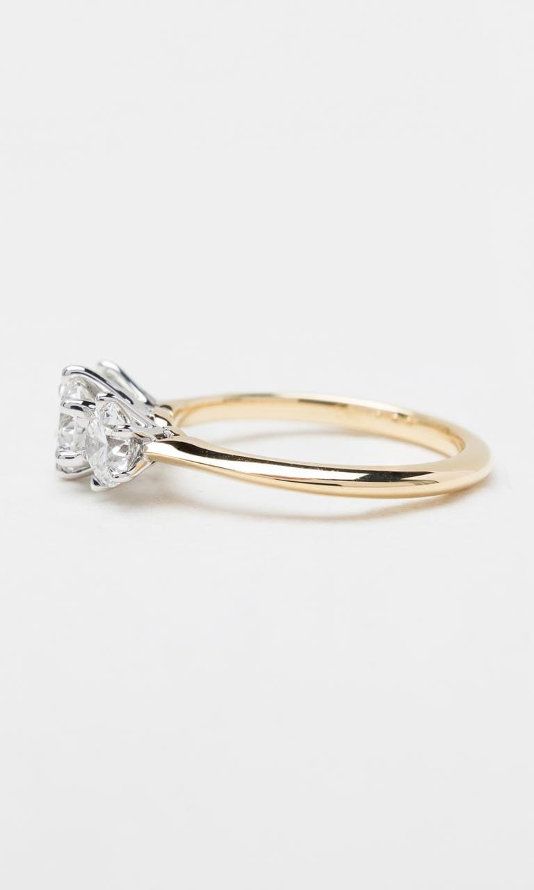 Hogans Family Jewellers 18K YWG 1.40ct TDW Round Brilliant Diamond Trilogy Ring