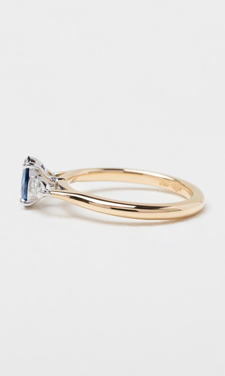 Hogans Family Jewellers 18K YWG Oval Cut Ceylon Sapphire & Diamond Trilogy Ring