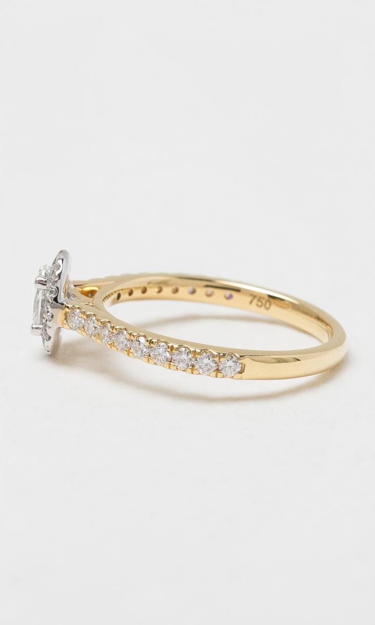 Hogans Family Jewellers 18K YWG Oval Cut Diamond Halo Style Ring