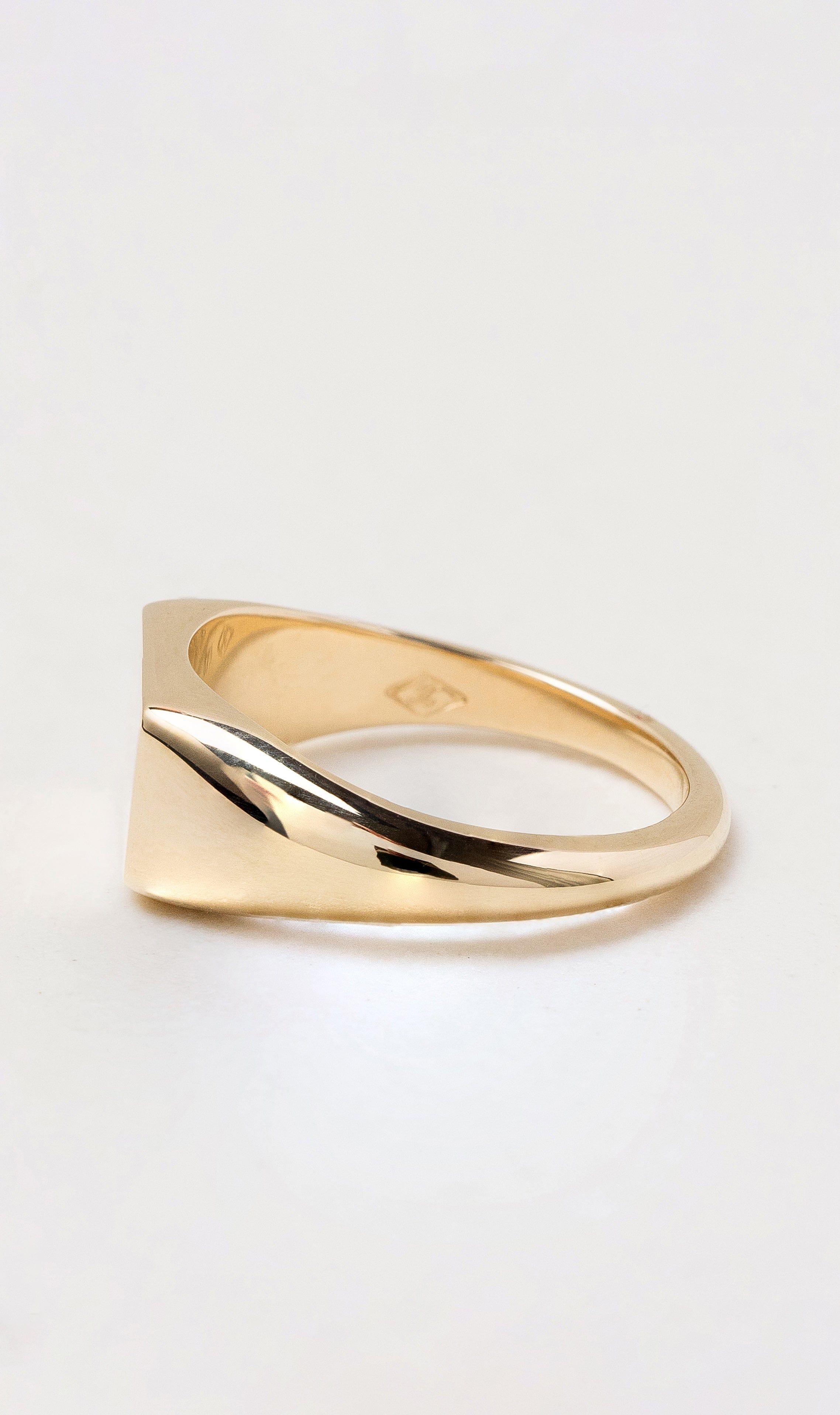 Hogans Family Jewellers 9K Rectangular Signet Ring