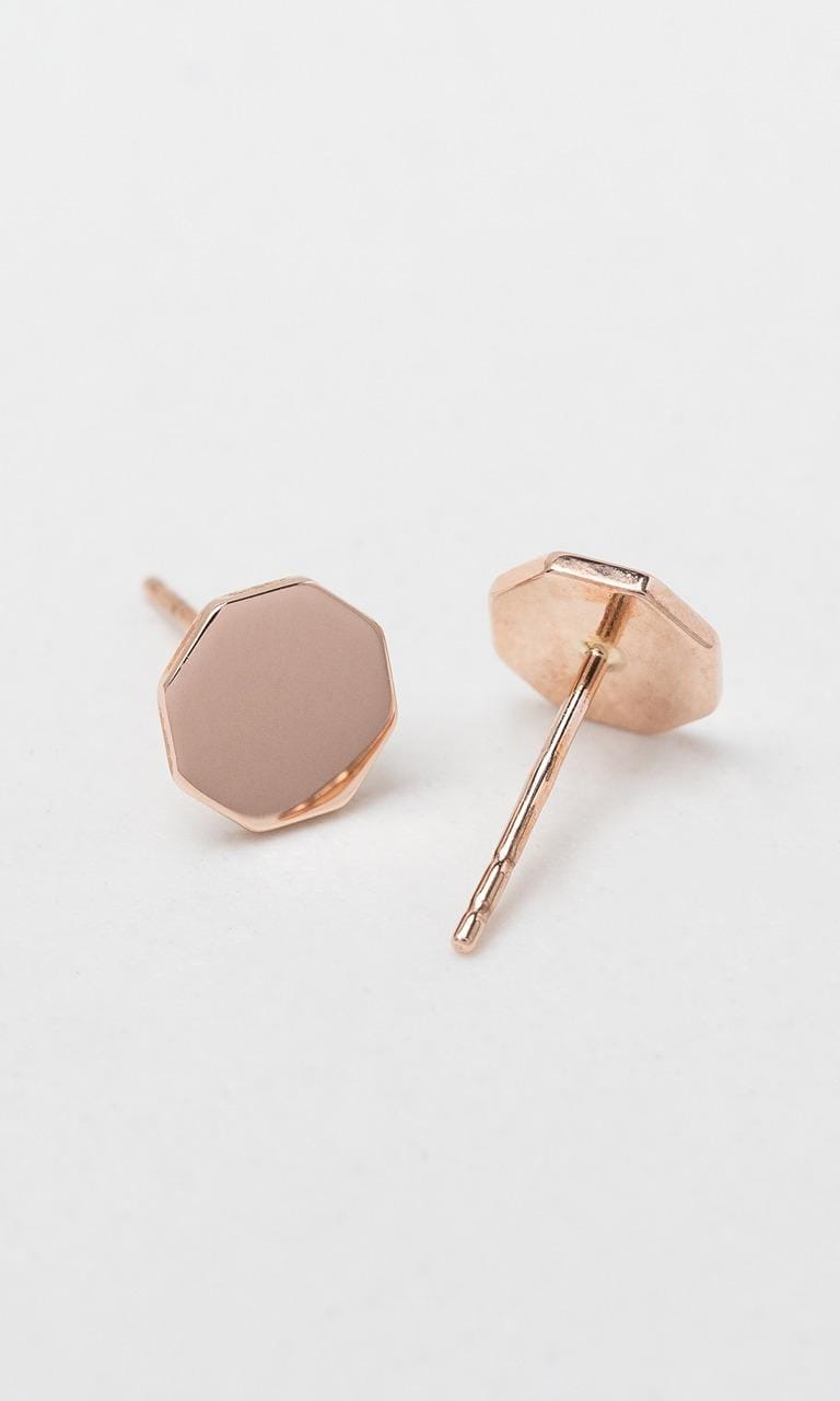 Hogans Family Jewellers 9K RG Disc Stud Earrings