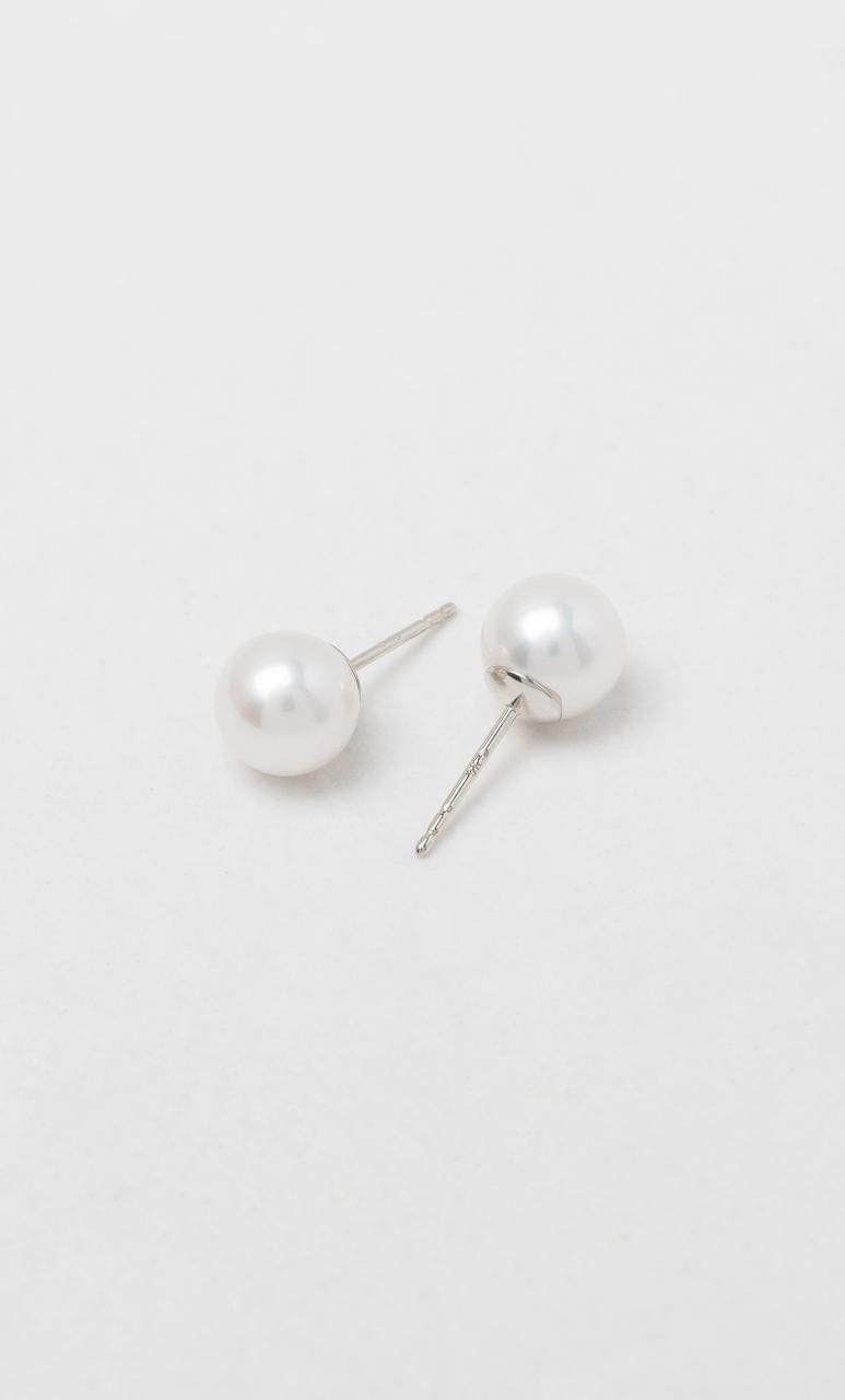 Hogans Family Jewellers 9K WG 8-8.5mm Freshwater Pearl Stud Earrings