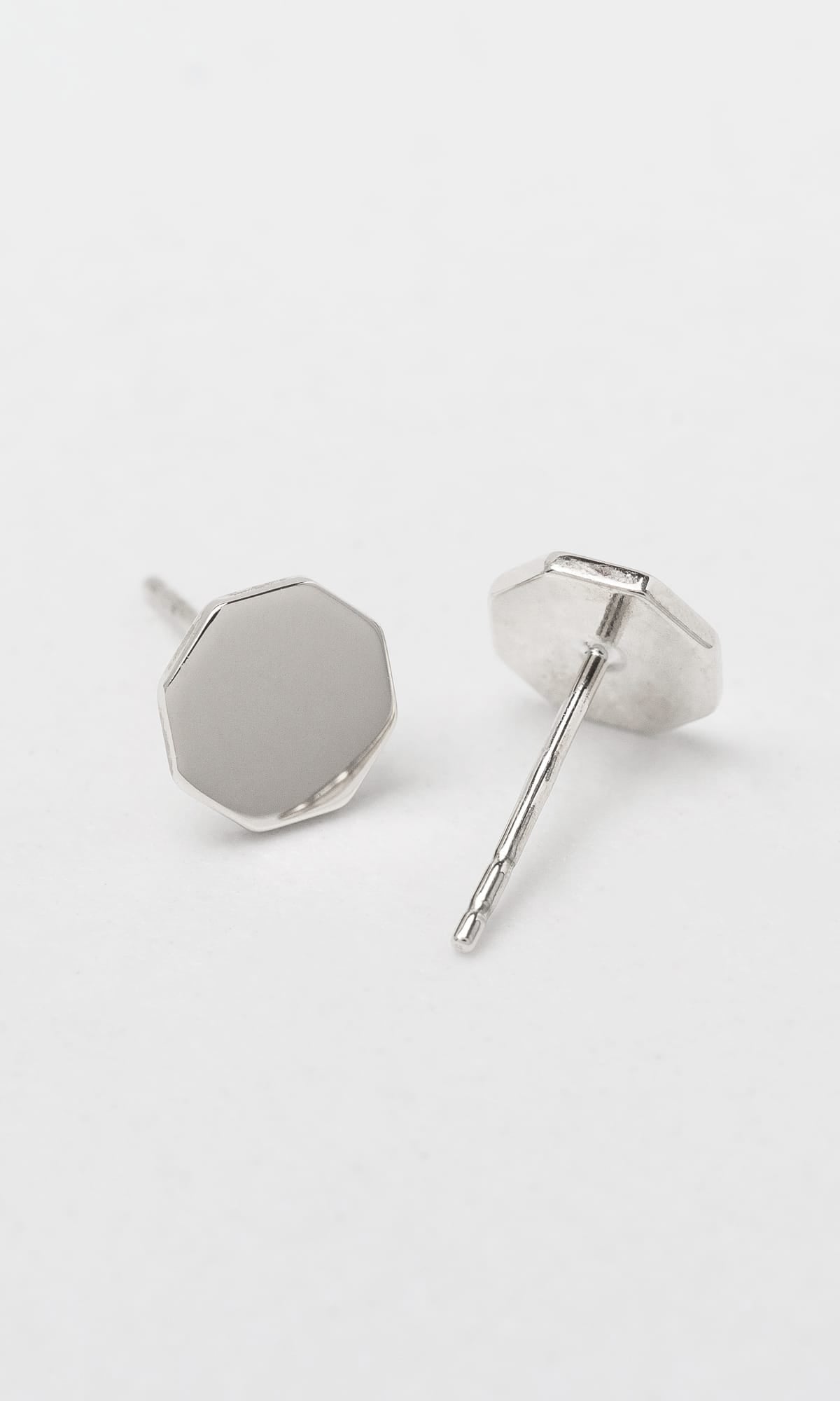 Hogans Family Jewellers 9K WG Octagonal Stud Earrings