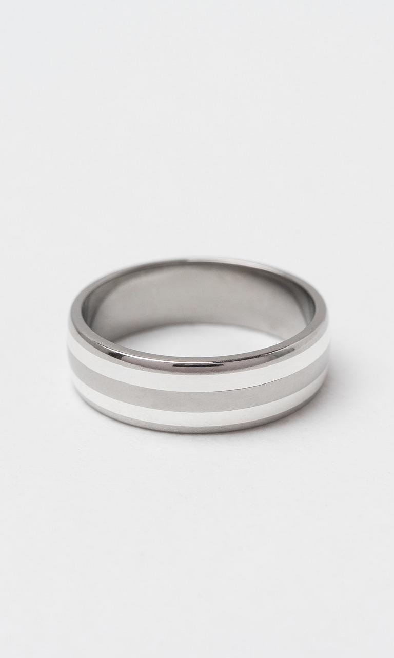 Hogans Family Jewellers 9K WG & Titanium 7mm Gents Band