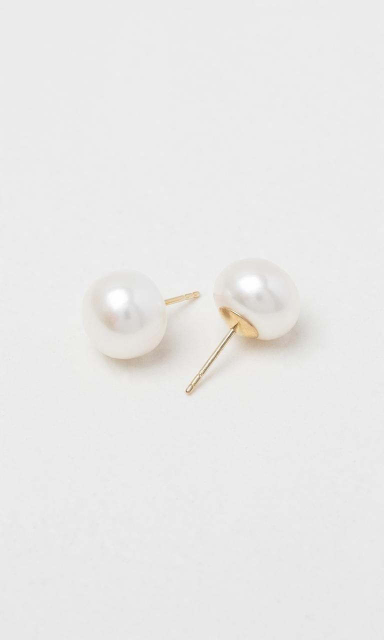 Hogans Family Jewellers 9K YG 10-10.5mm Freshwater Button Pearl Studs