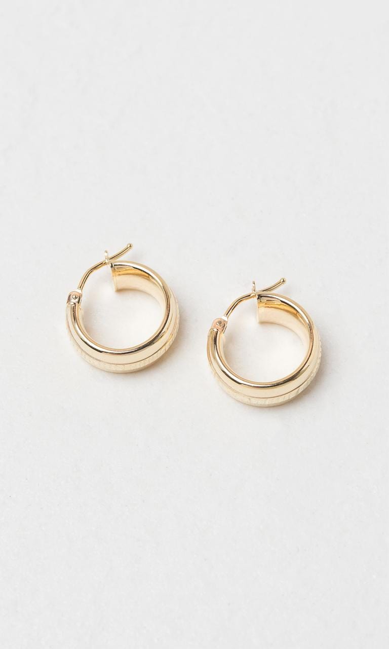 Hogans Family Jewellers 9K YG 10mm Detailed Hoop Earrings