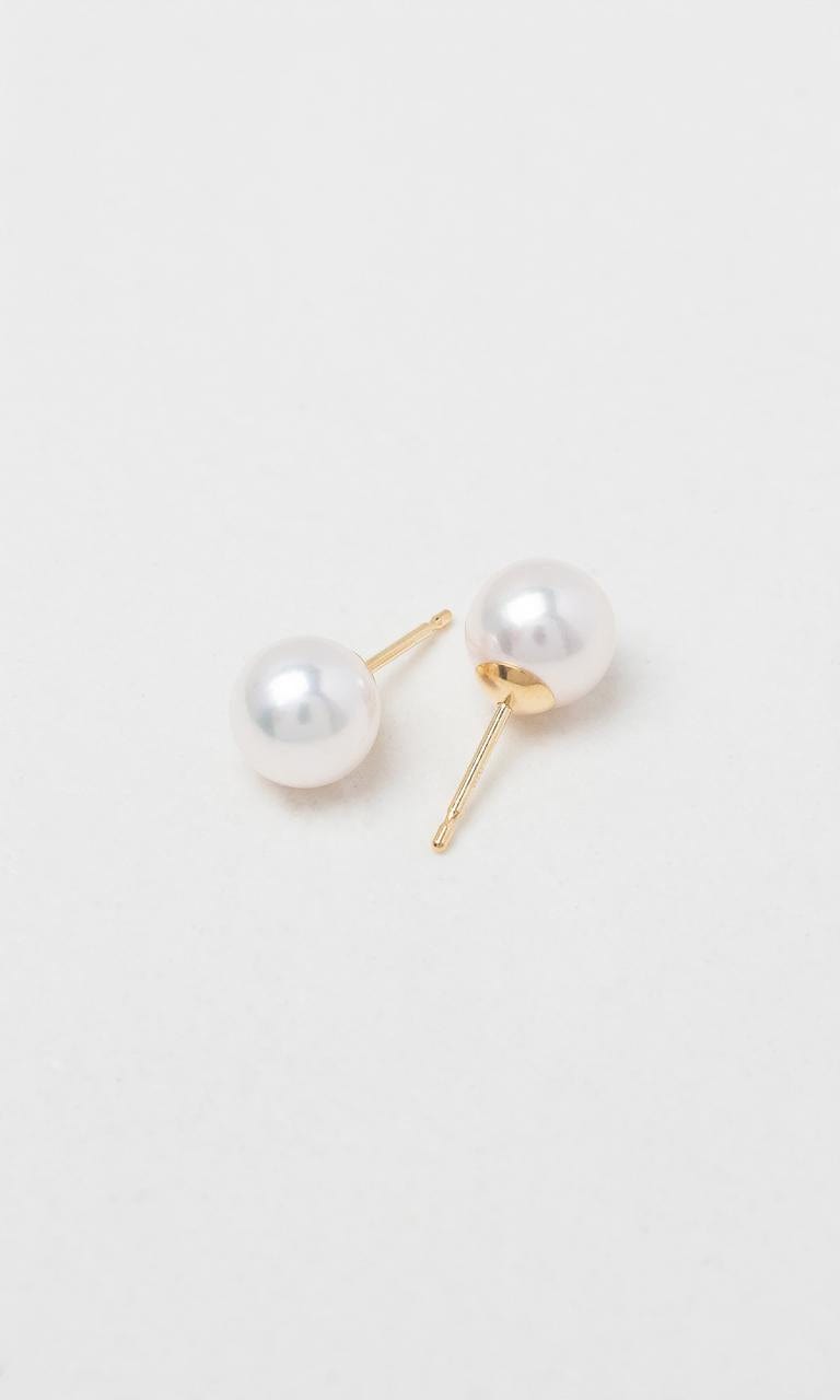Hogans Family Jewellers 9K YG 10mm South Sea Pearl Stud Earrings