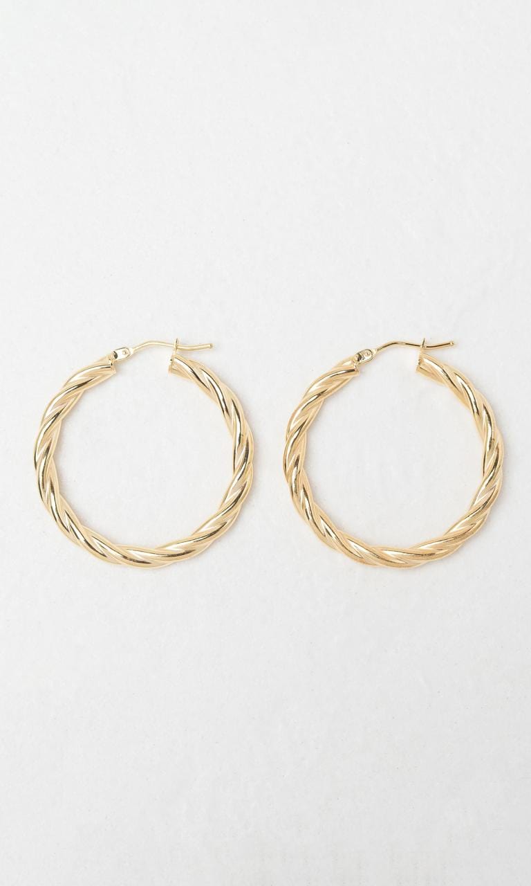 Hogans Family Jewellers 9K YG 20mm Twist Hoop Earrings