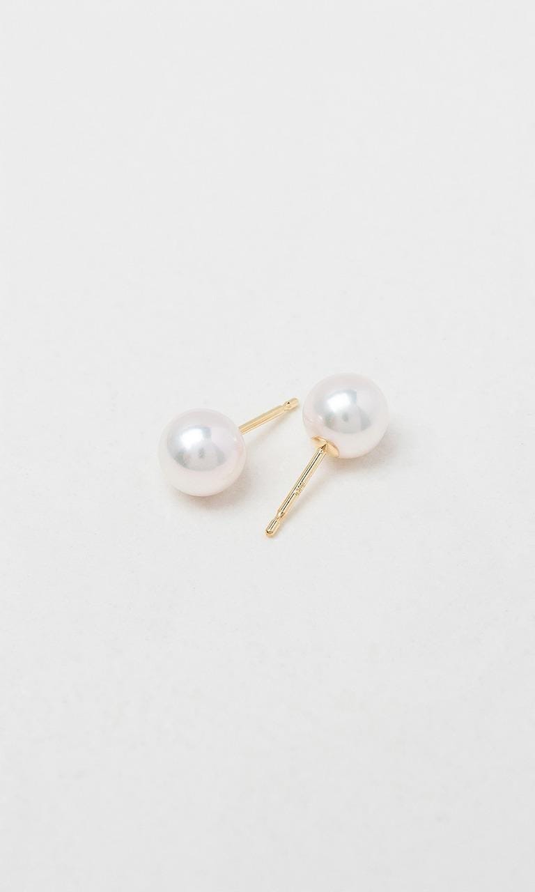 Hogans Family Jewellers 9K YG 7.5-8mm Akoya Pearl Stud Earrings