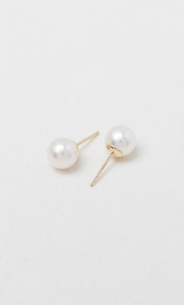 Hogans Family Jewellers 9K YG 7.5-8mm Freshwater Pearl Stud Earrings