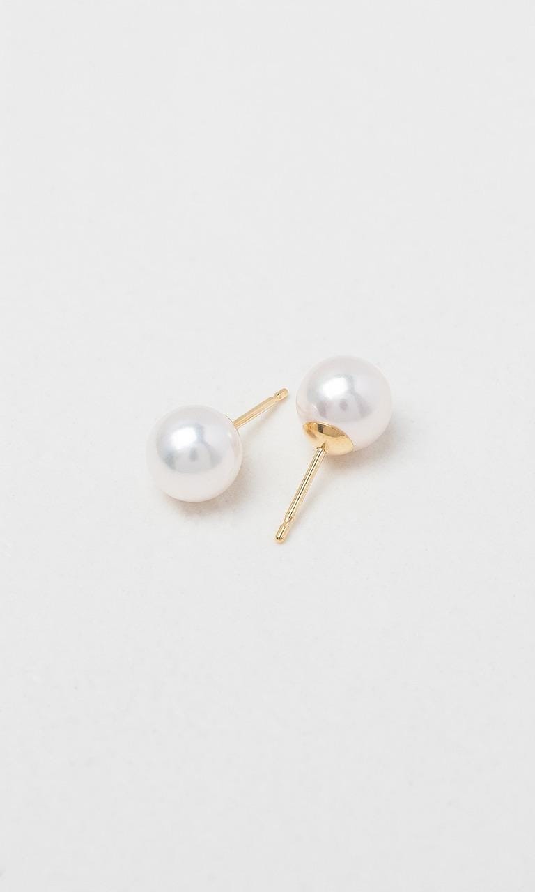 Hogans Family Jewellers 9K YG 8-8.5mm Akoya Pearl Stud Earrings