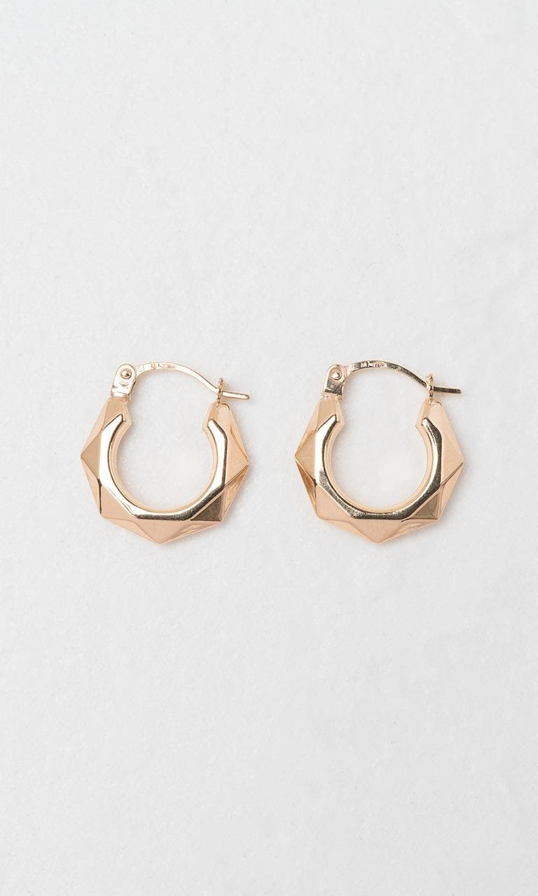 Hogans Family Jewellers 9K YG Decorative Hoop Earrings