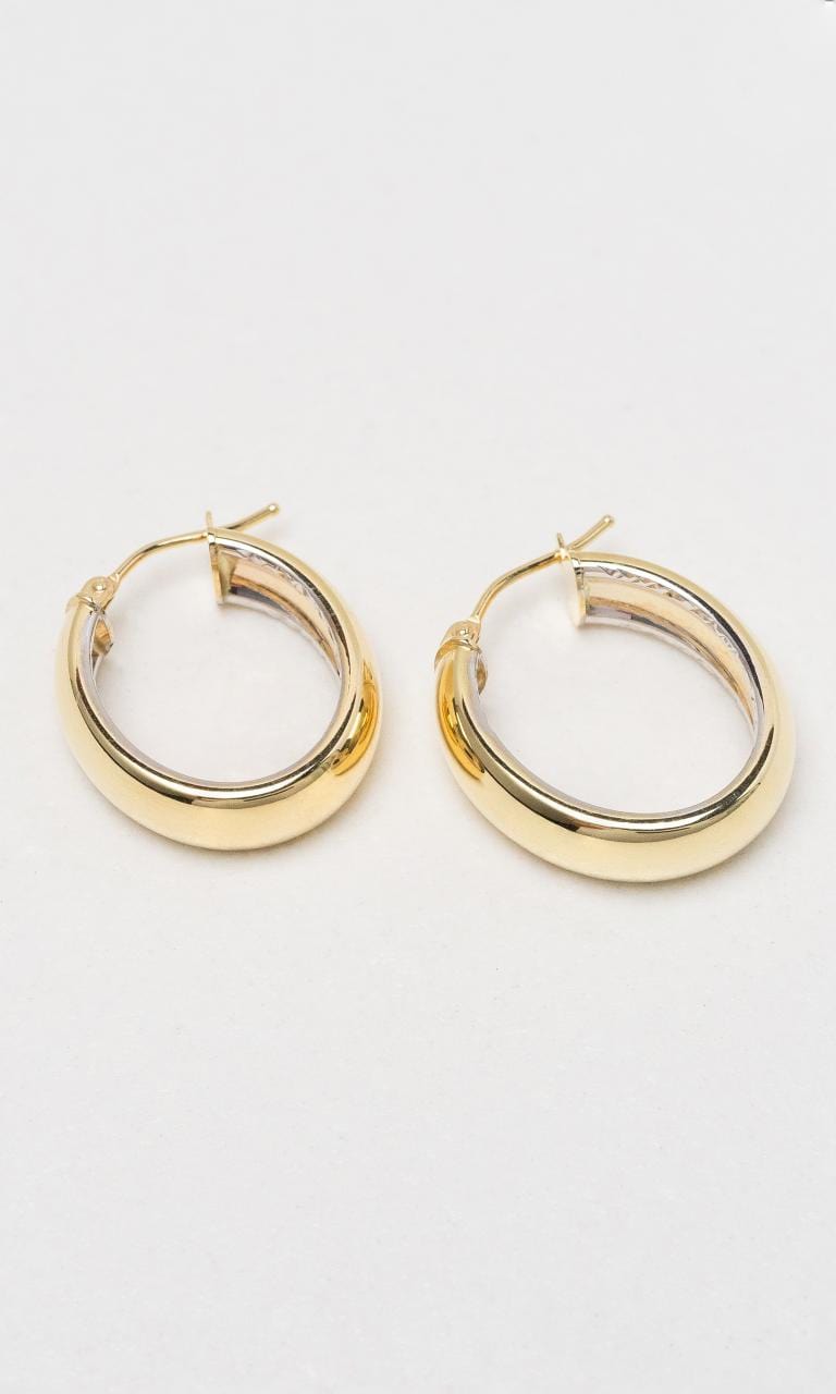 Hogans Family Jewellers 9K YG Hoop Earrings