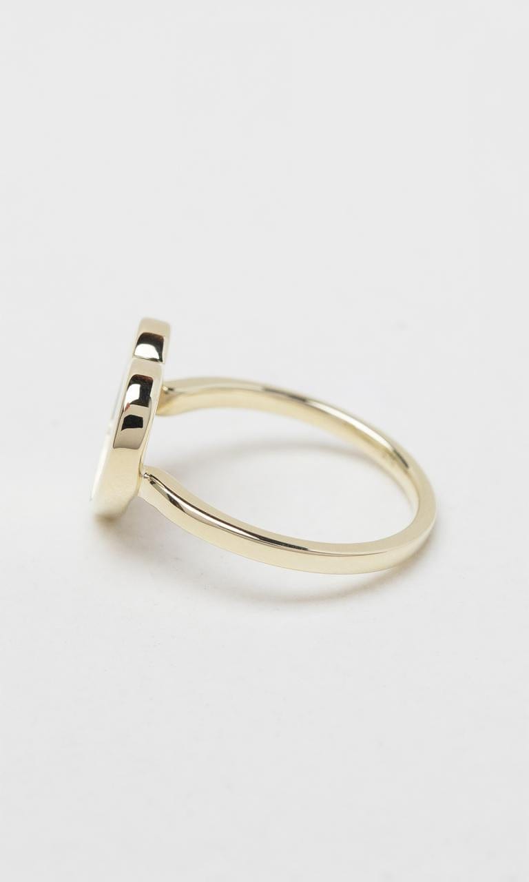 Hogans Family Jewellers 9K YG Mother of Pearl Heart Dress Ring