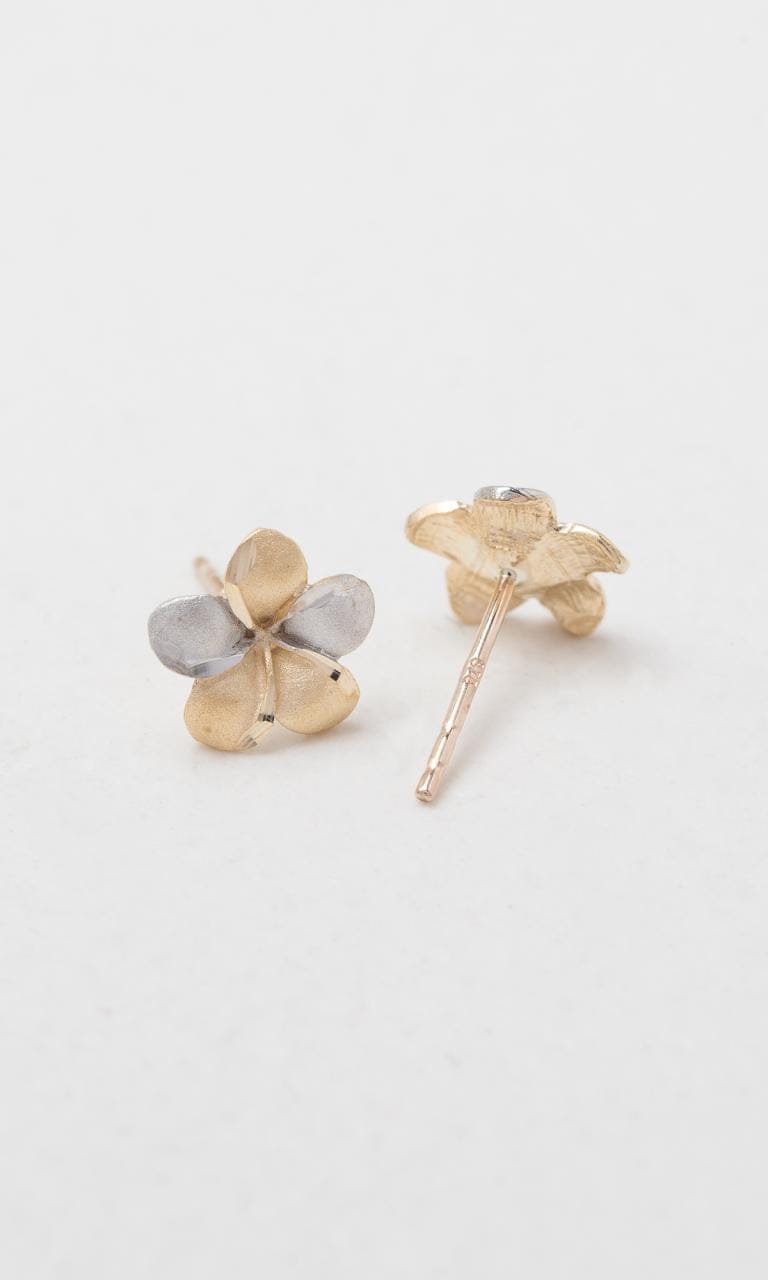 Hogans Family Jewellers 9K YWG Brushed Flower Stud Earrings