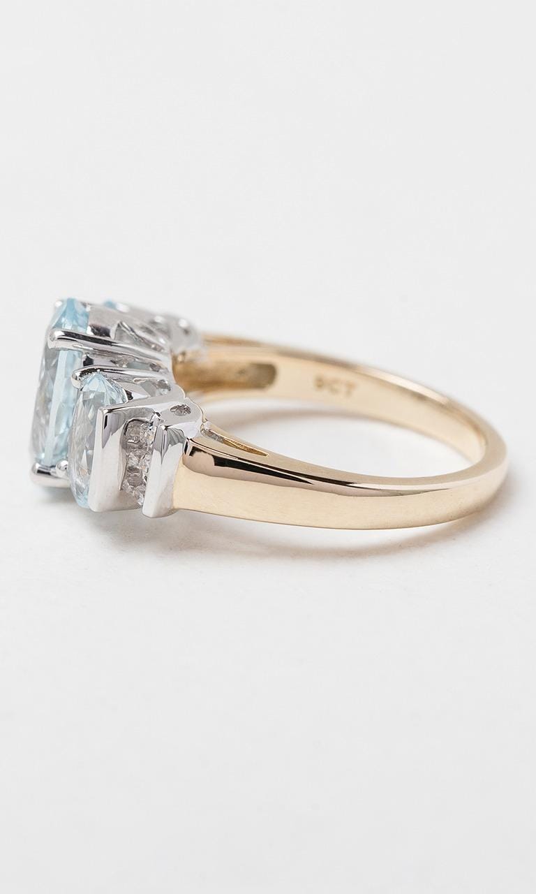Hogans Family Jewellers 9K YWG Oval Cut Aquamarine Trilogy Dress Ring
