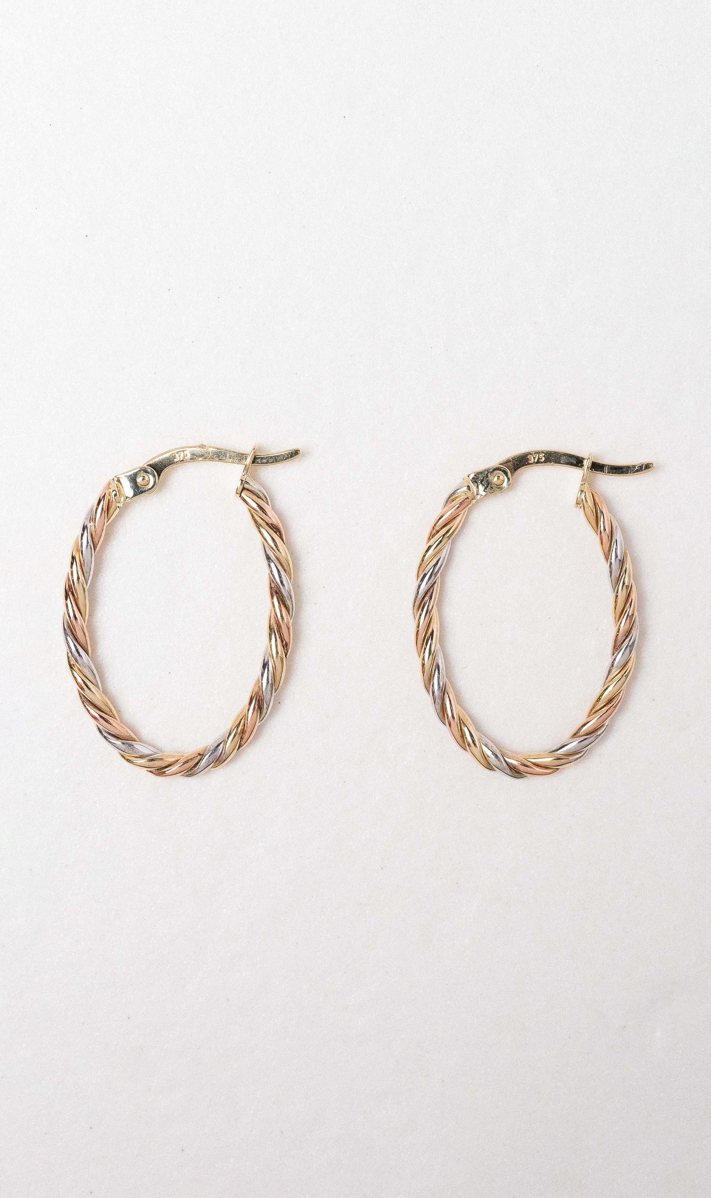 Hogans Family Jewellers 9K YWRG Twist Hoop Earrings