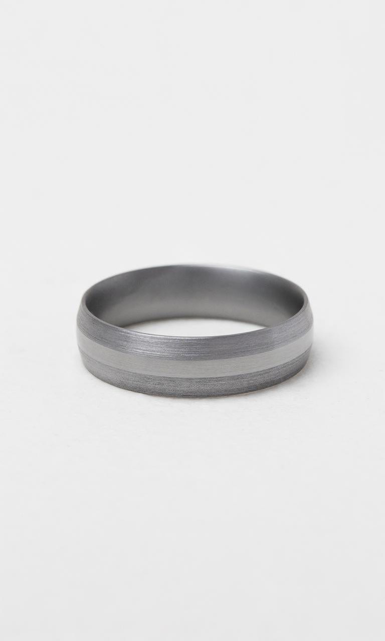 Hogans Family Jewellers Tantalum 6mm Brushed Gents Band