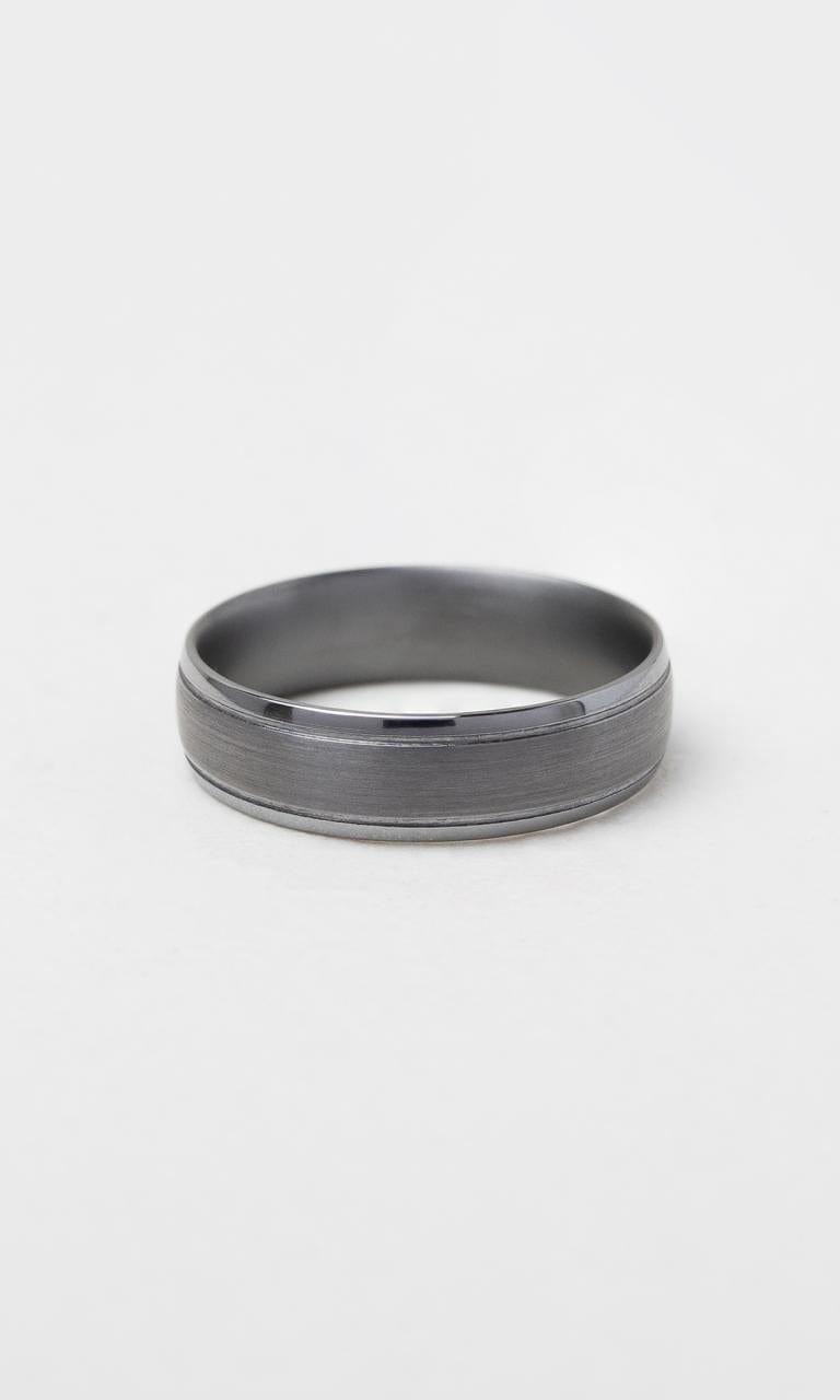 Hogans Family Jewellers Tantalum 6mm Polished & Brushed Gents Band