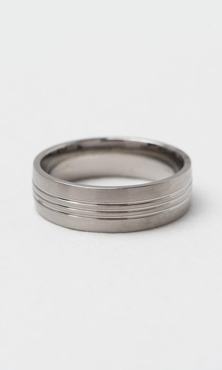 Hogans Family Jewellers Titanium 6.5mm Gents Band